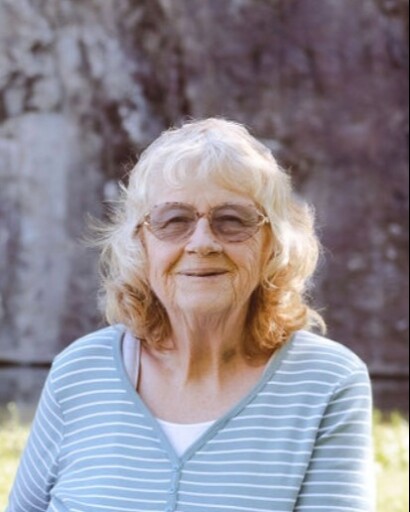 Karen Patricia Palmer's obituary image