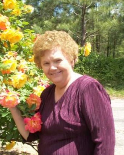 Judy Dodd Profile Photo