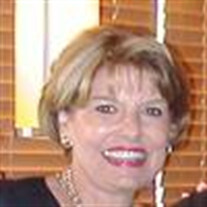Darlene DiPasquale Westbrock Profile Photo