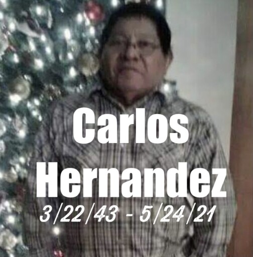 Carlos Hernandez Profile Photo