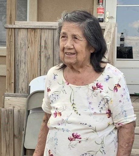 Ms. Lilia  D. Campos Resident of Meadow Profile Photo
