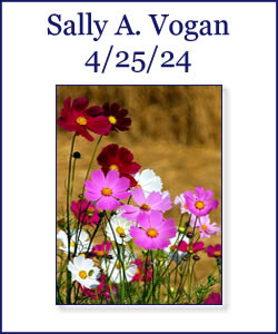 Sally Vogan Profile Photo