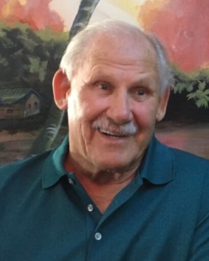 David A. Werner's obituary image