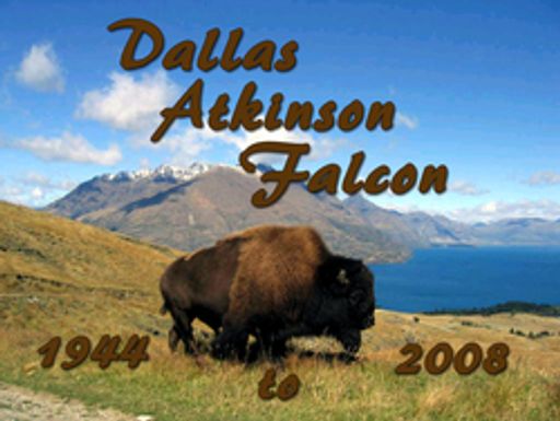 Dallas Atkinson Falcon