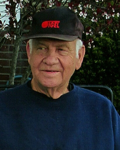 Ned A. Musselman