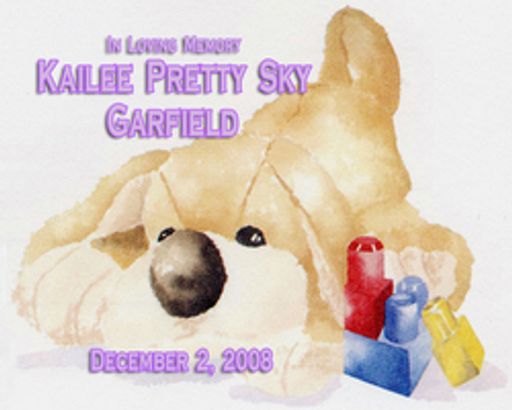 Kailee Pretty Sky Garfield