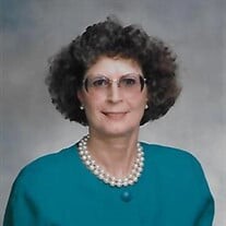 Pat Connell Profile Photo