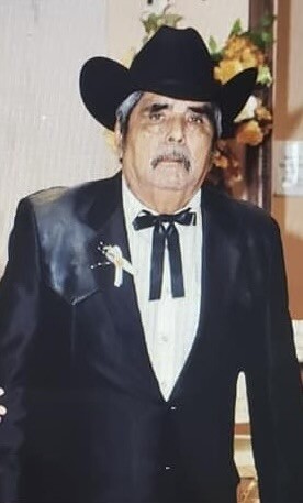 Jose Luis Perales Garza Profile Photo