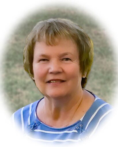 Diana Carol Steele's obituary image