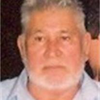Primitivo Reynoso Profile Photo
