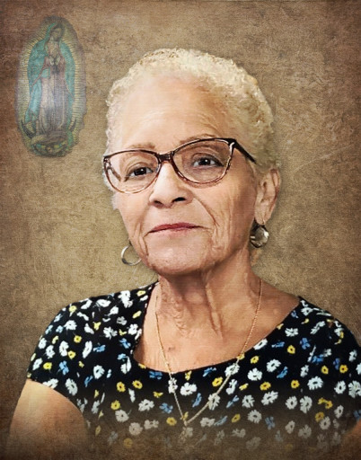 Maria Rocha Profile Photo