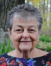 Sue E.  Druck Profile Photo