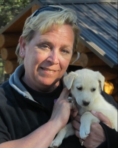 Lori L. Naumann Profile Photo