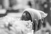 Infant Holland Iris Ray Profile Photo