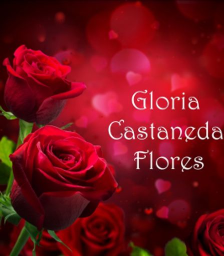 Gloria Flores Profile Photo