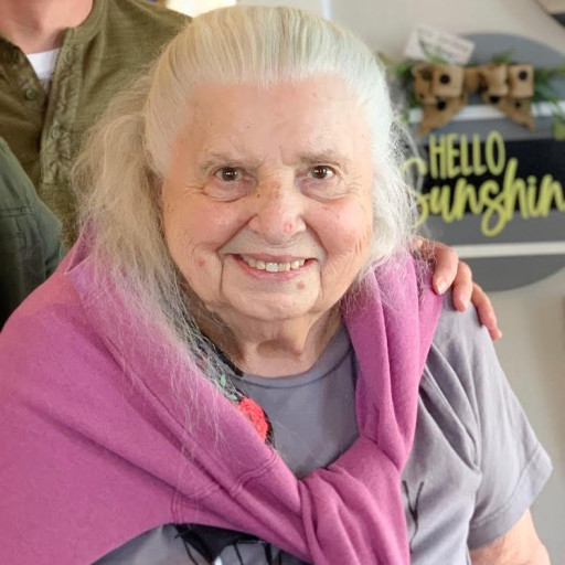 Ann G. (Sivacek) Swink Obituary 2022 Ingram Funeral Home & Crematory