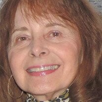 Judy Halgren Profile Photo