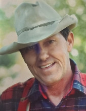 Davis Jensen Stanger Profile Photo
