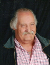 Michael Dahl Profile Photo
