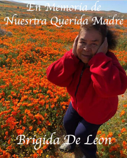 Brigida De Leon's obituary image