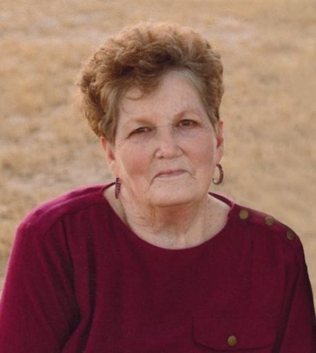 Judy Kieffer Profile Photo