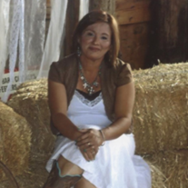 Lucia O. Flores Profile Photo