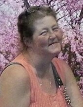 Connie Louise  Koch Profile Photo