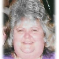 Terri Lynn Hoffman Profile Photo