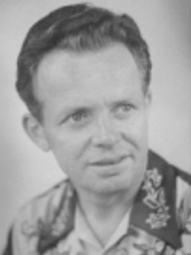 Hendrikus Nibbelink