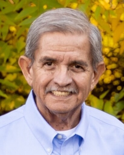 Mario Arturo Alvarado's obituary image