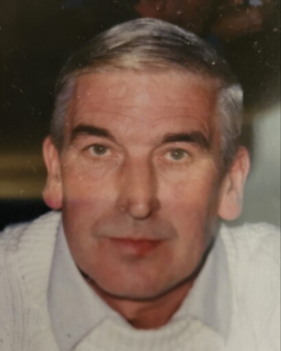 Manuel G Ferreira's obituary image