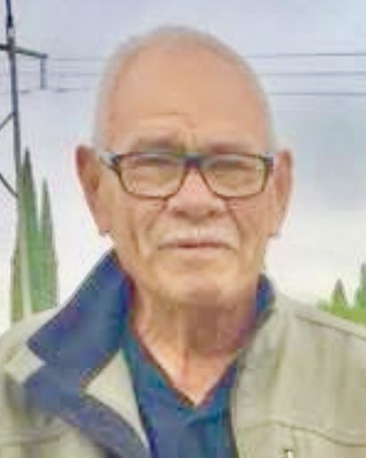 Dulces N Gonzales's obituary image