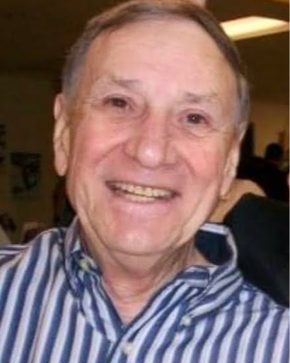 James David Emmitt's obituary image