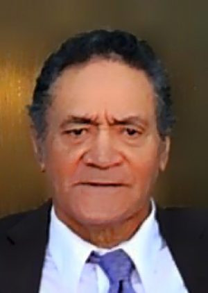 Vili Fonongaloa Mila Profile Photo