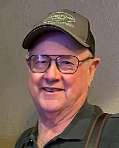 David Linn Snell's obituary image