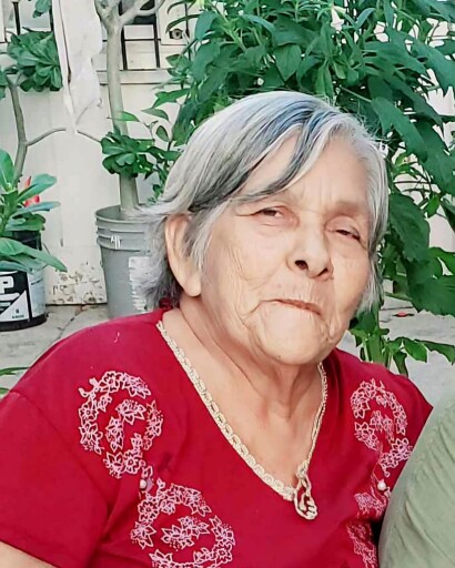 Delfina Olvera Leal's obituary image