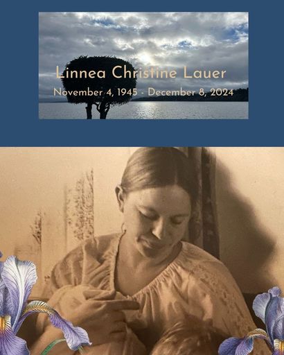 Linnea Christine Lauer