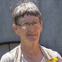 Rose Marie Stauffer Profile Photo