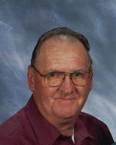 Raymond L. Karnopp's obituary image