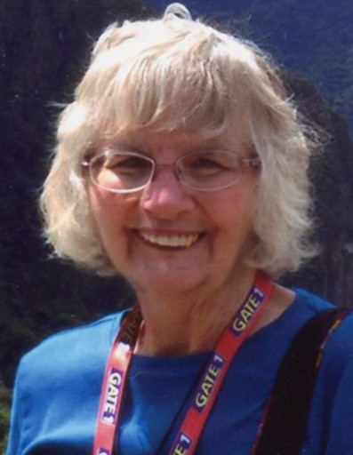 Linda Werner Profile Photo