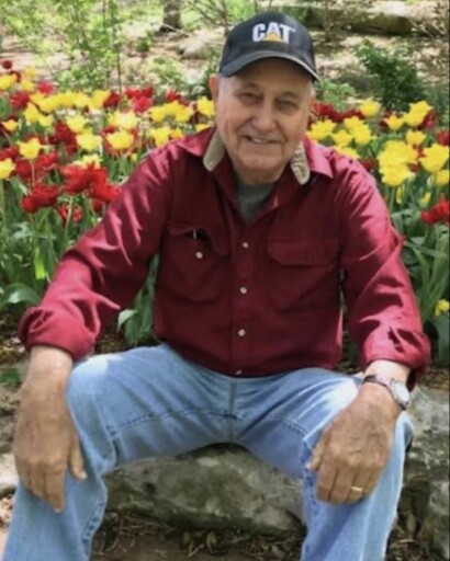 Joe D. Curtis's obituary image