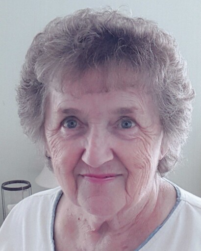 Patricia N. Poppe's obituary image