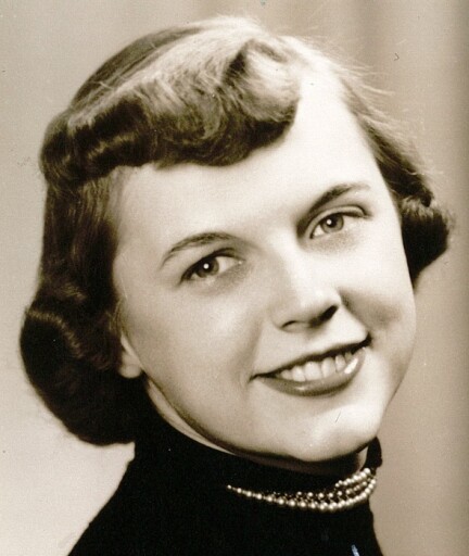 Janet Ann (Pavlick)  Brauer