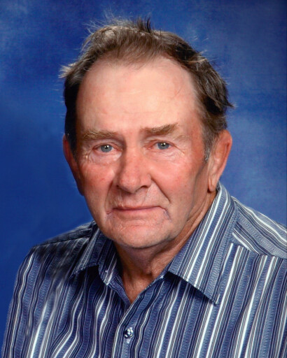 Ronald J. Bird Profile Photo