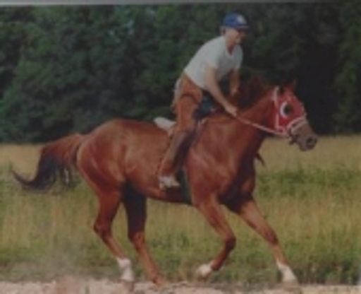 Norman Austin Profile Photo
