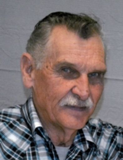 Donald Freeman Profile Photo