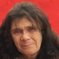 Nancy Seeck Profile Photo
