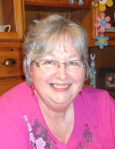 Maureen Ann Stein Profile Photo