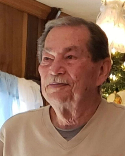 Robert L Goins's obituary image