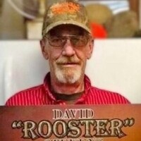 Rooster Stevens Profile Photo